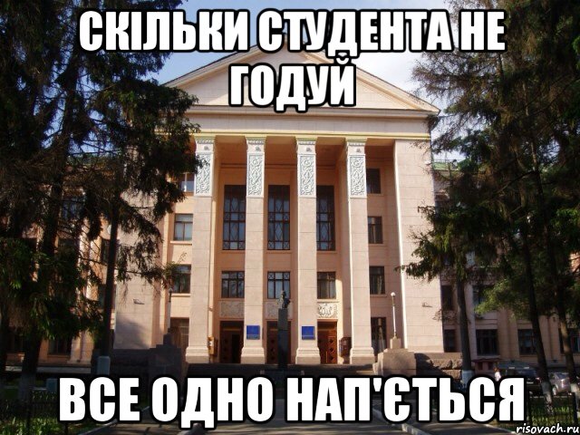 Скільки студента не годуй Все одно нап'ється