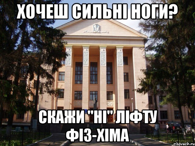 Хочеш сильні ноги? Скажи "ні" ліфту фіз-хіма