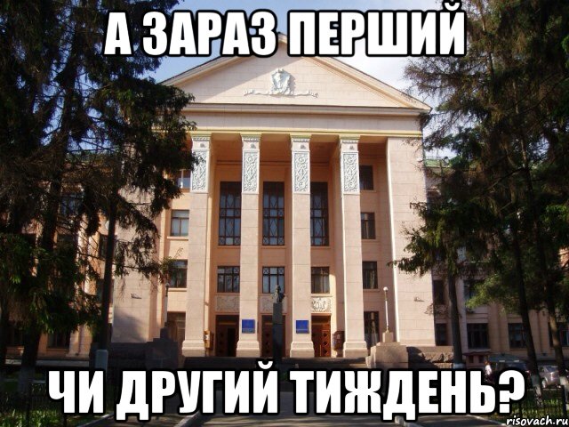А зараз перший Чи другий тиждень?