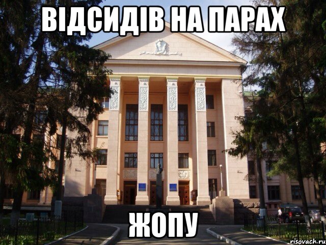 Відсидів на парах Жопу