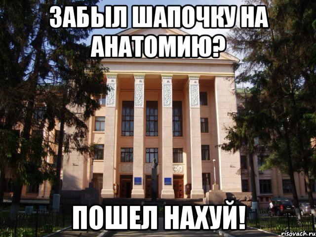 Забыл шапочку на анатомию? Пошел нахуй!