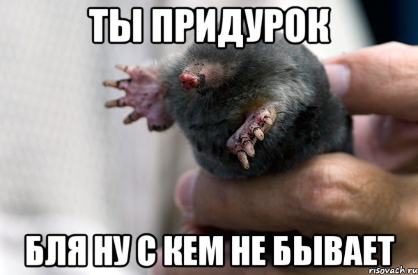 ты придурок бля ну с кем не бывает