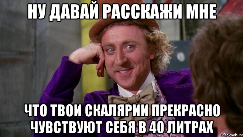 ну давай расскажи мне что твои скалярии прекрасно чувствуют себя в 40 литрах, Мем Ну давай расскажи (Вилли Вонка)