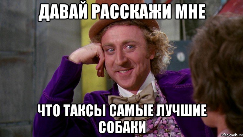 давай расскажи мне что таксы самые лучшие собаки, Мем Ну давай расскажи (Вилли Вонка)