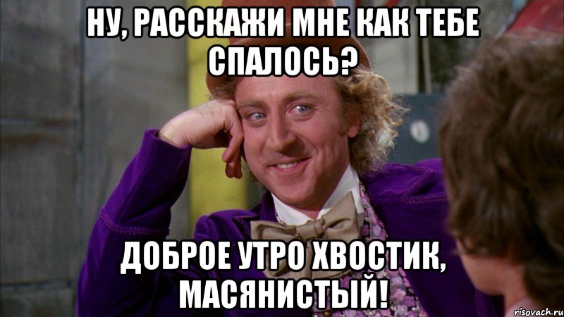 Ну, расскажи мне как тебе спалось? Доброе утро хвостик, масянистый!, Мем Ну давай расскажи (Вилли Вонка)