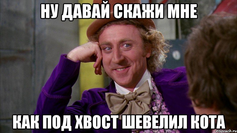 ну давай скажи мне как под хвост шевелил кота, Мем Ну давай расскажи (Вилли Вонка)