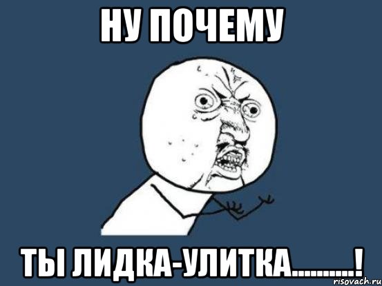 НУ ПОЧЕМУ ТЫ ЛИДКА-УЛИТКА..........!, Мем Ну почему