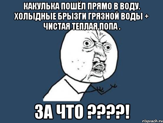 Какулька пошёл прямо в воду. Холыдные брызги грязной воды + чистая теплая попа . За что ????!, Мем Ну почему