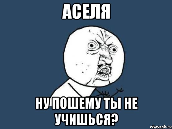 Аселя Ну пошему ты не учишься?, Мем Ну почему