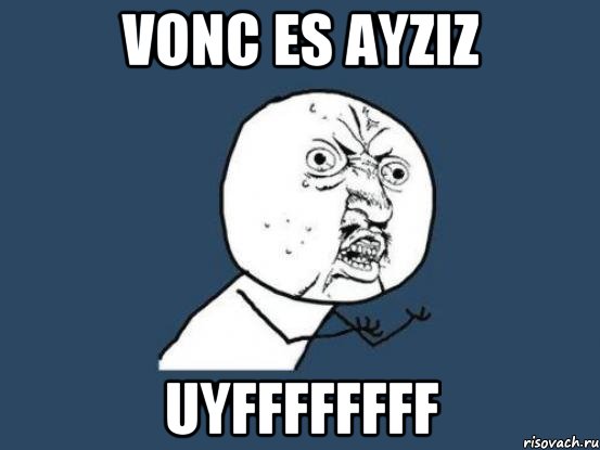 vonc es ayziz uyffffffff, Мем Ну почему