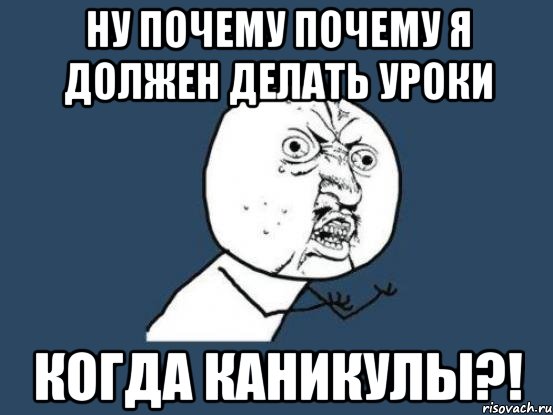 ну почему почему я должен делать уроки когда каникулы?!, Мем Ну почему