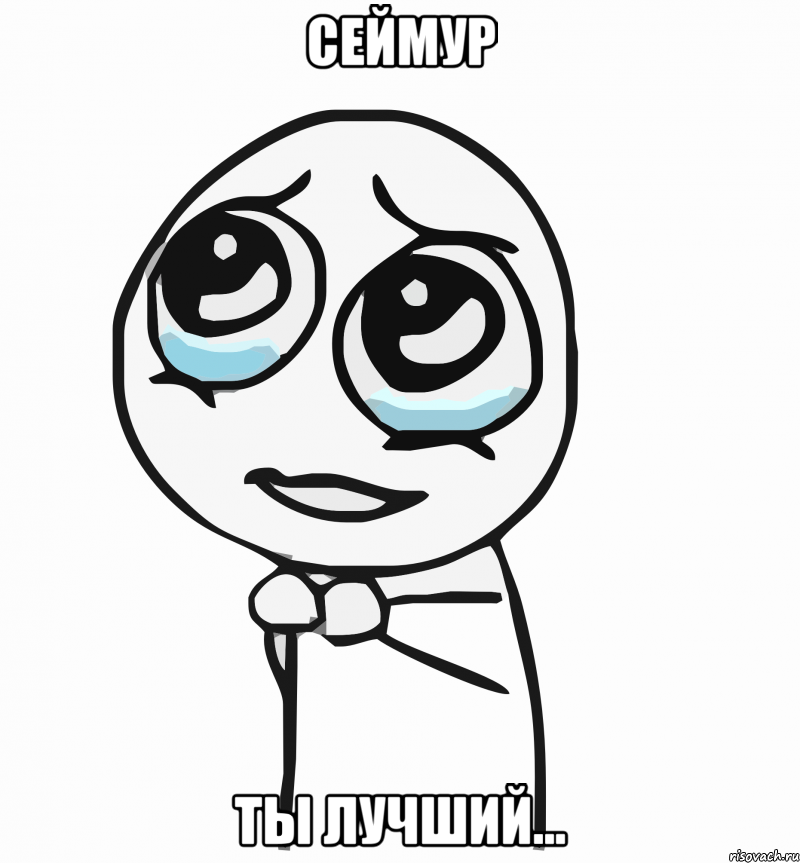 сЕЙМУР ТЫ ЛУЧШИЙ..., Мем  ну пожалуйста (please)