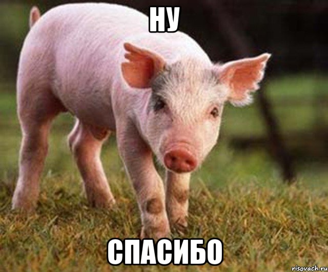 ну спасибо, Мем ну спасибо