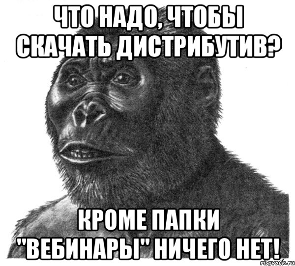 Что надо, чтобы скачать дистрибутив? Кроме папки "вебинары" ничего нет!, Мем обезьяна