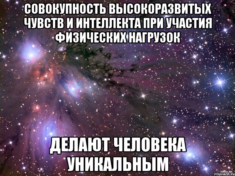 СОВОКУПНОСТЬ ВЫСОКОРАЗВИТЫХ ЧУВСТВ И ИНТЕЛЛЕКТА ПРИ УЧАСТИЯ ФИЗИЧЕСКИХ НАГРУЗОК ДЕЛАЮТ ЧЕЛОВЕКА УНИКАЛЬНЫМ, Мем Космос