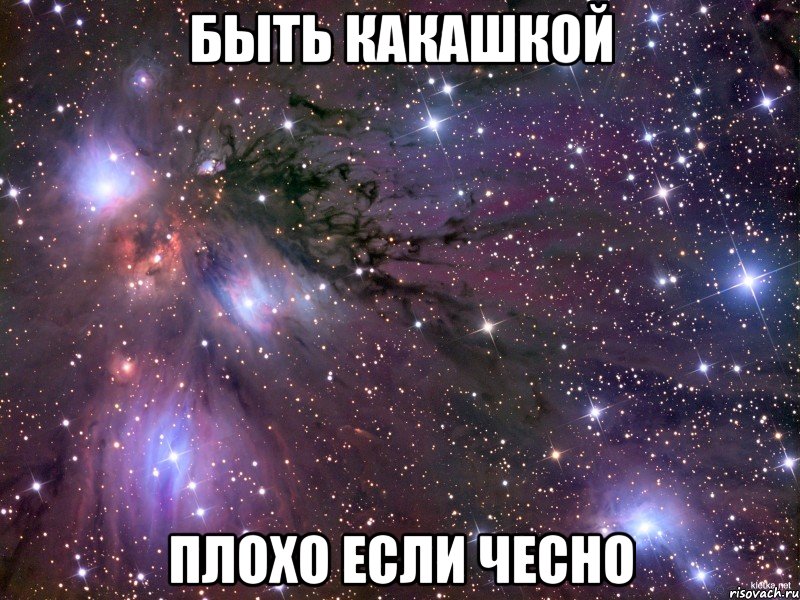 быть какашкой плохо если чесно