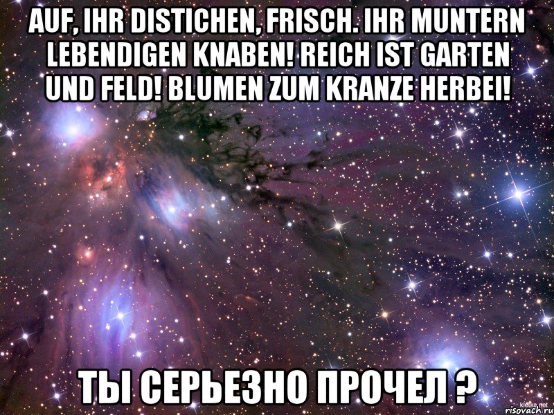 Auf, ihr Distichen, frisch. Ihr muntern lebendigen Knaben! Reich ist Garten und Feld! Blumen zum Kranze herbei! ты серьезно прочел ?