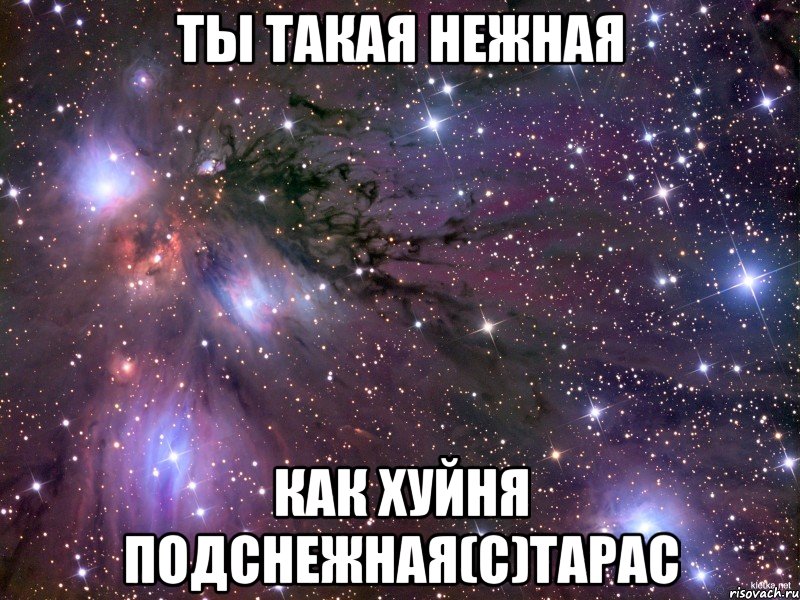 ты такая нежная как хуйня подснежная(с)Тарас