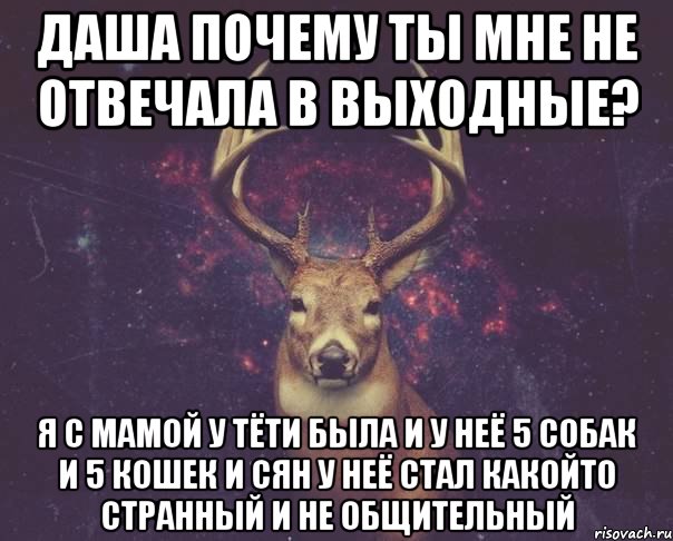 Даша почему ты мне не отвечала в выходные? Я с мамой у тёти была и у неё 5 собак и 5 кошек и сян у неё стал какойто странный и не общительный, Мем  олень наивный