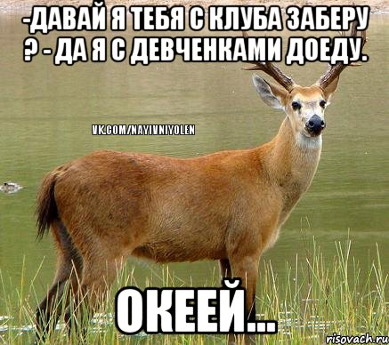 -Давай я тебя с клуба заберу ? - Да я с девченками доеду. Океей..., Мем Олень
