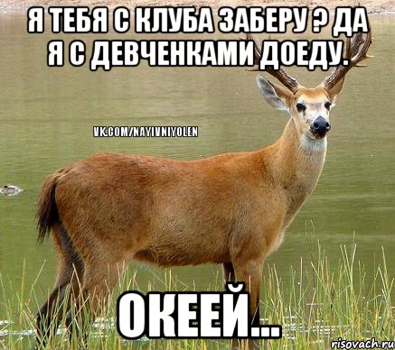 я тебя с клуба заберу ? Да я с девченками доеду. Океей..., Мем Олень