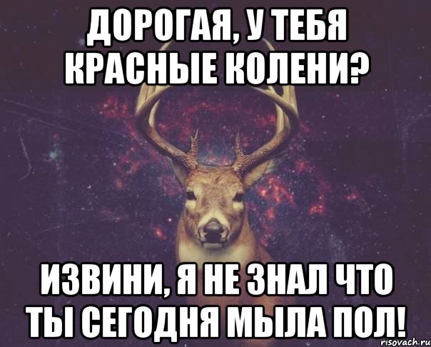 Дорогая, у тебя красные колени? Извини, я не знал что ты сегодня мыла пол!