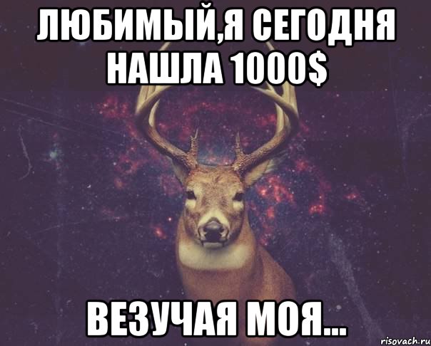 Любимый,я сегодня нашла 1000$ Везучая моя...