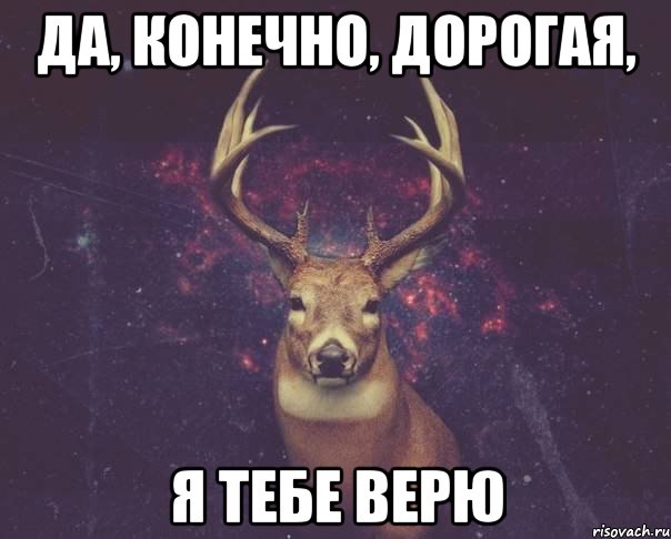 Да, конечно, дорогая, Я тебе верю, Мем  олень наивный