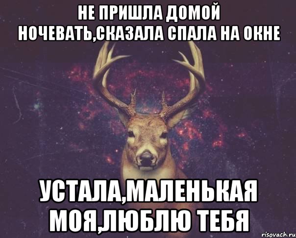 не пришла домой ночевать,сказала спала на окне устала,маленькая моя,люблю тебя