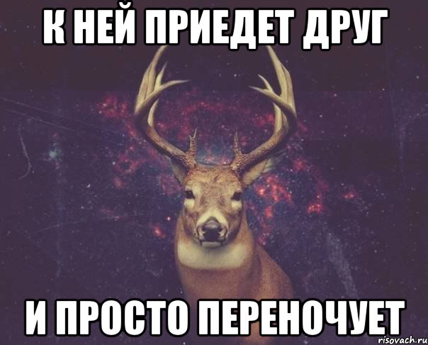 К ней приедет друг И просто переночует