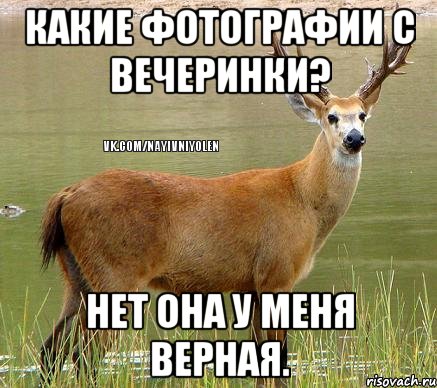 Какие фотографии с вечеринки? Нет она у меня верная.