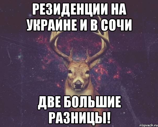 Резиденции на Украине и в Сочи Две большие разницы!, Мем  олень наивный