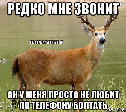 Редко мне звонит Он у меня просто не любит по телефону болтать