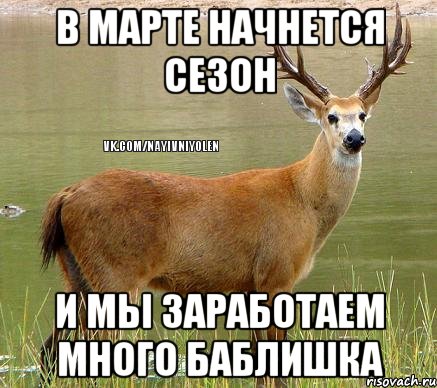 в марте начнется сезон и мы заработаем много баблишка, Мем Олень