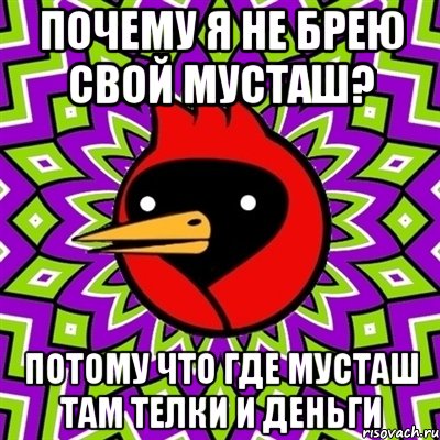 Почему я не брею свой мусташ? Потому что где мусташ там телки и деньги, Мем Омская птица
