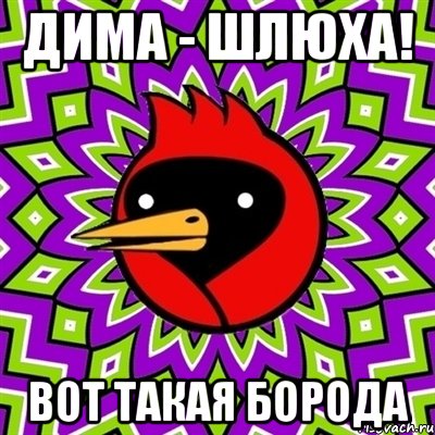 Дима - Шлюха! Вот такая борода, Мем Омская птица
