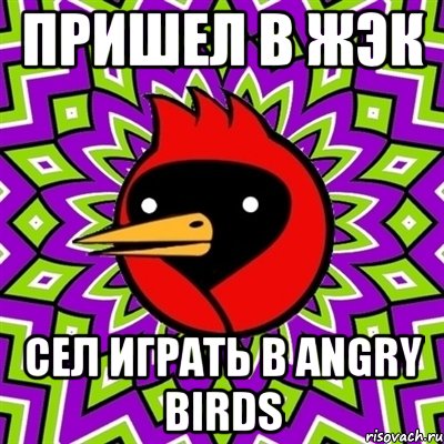 Пришел в ЖЭК Сел играть в Angry birds, Мем Омская птица