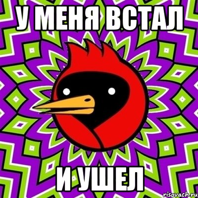 У меня встал и ушел, Мем Омская птица