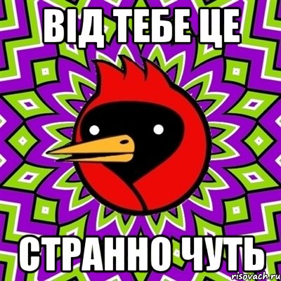 Від тебе це странно чуть, Мем Омская птица