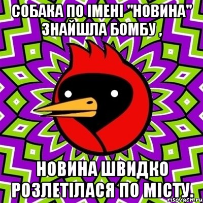 Собака по імені "Новина" знайшла бомбу , Новина швидко розлетілася по місту., Мем Омская птица