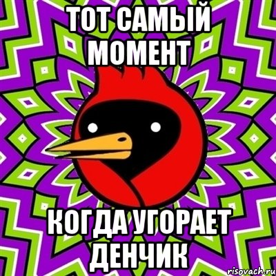 Тот самый момент Когда угорает денчик, Мем Омская птица