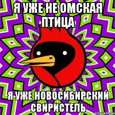 Я УЖЕ НЕ ОМСКАЯ ПТИЦА Я УЖЕ НОВОСИБИРСКИЙ СВИРИСТЕЛЬ, Мем Омская птица
