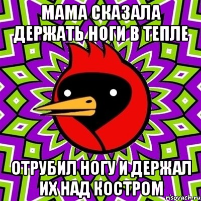 Мама сказала держать ноги в тепле Отрубил ногу и держал их над костром, Мем Омская птица