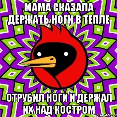 Мама сказала держать ноги в тепле Отрубил ноги и держал их над костром, Мем Омская птица