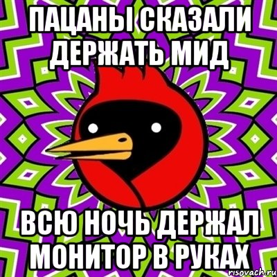 Пацаны сказали держать мид всю ночь держал монитор в руках, Мем Омская птица