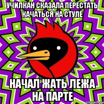 Училкан сказала перестать качаться на стуле Начал жать лежа на парте, Мем Омская птица
