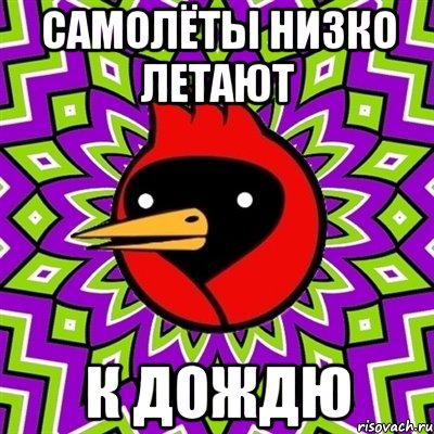 Самолёты низко летают к дождю, Мем Омская птица