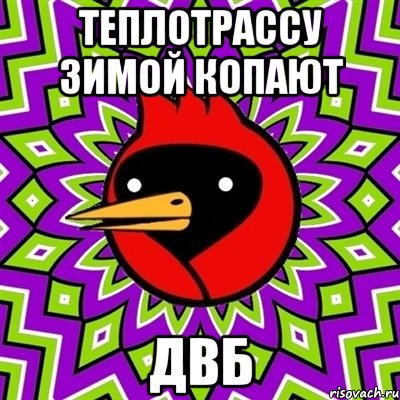 Теплотрассу зимой копают ДВБ, Мем Омская птица