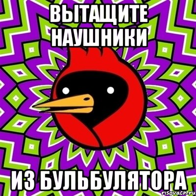 Вытащите наушники из бульбулятора, Мем Омская птица