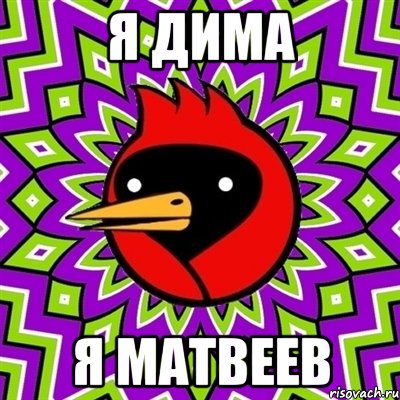 я дима я матвеев, Мем Омская птица